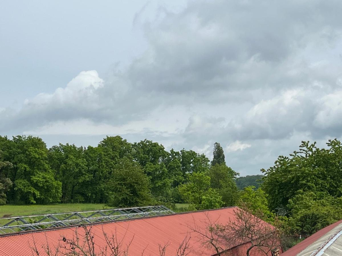 Apartament Monstera I Kolín Zewnętrze zdjęcie