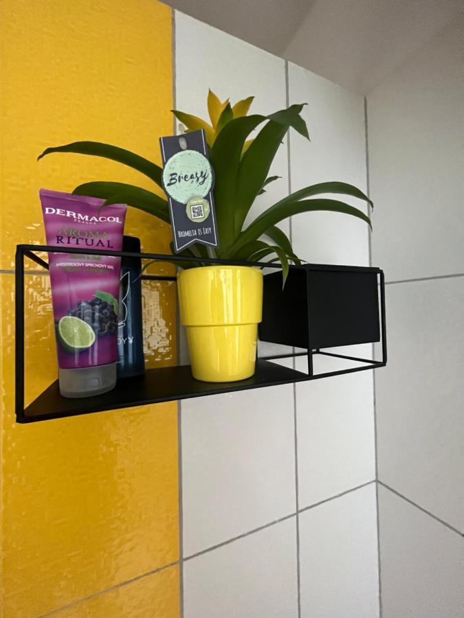 Apartament Monstera I Kolín Zewnętrze zdjęcie