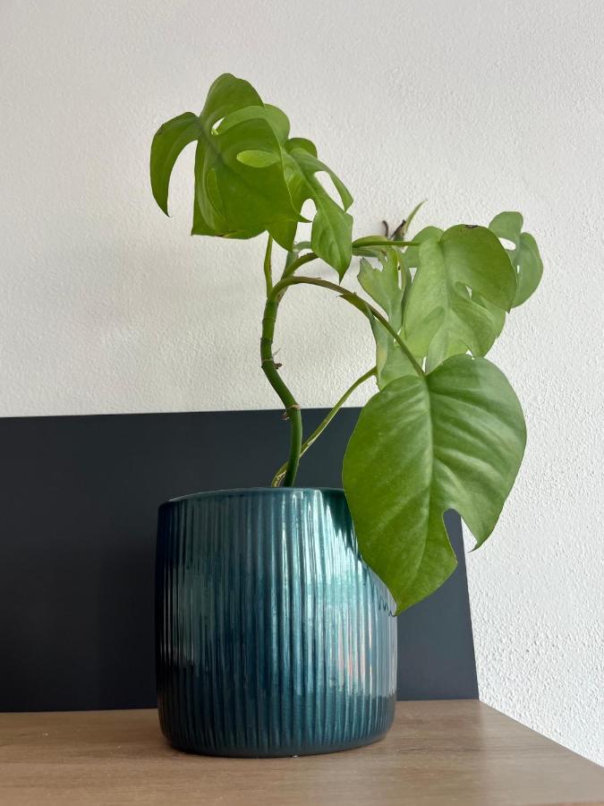 Apartament Monstera I Kolín Zewnętrze zdjęcie